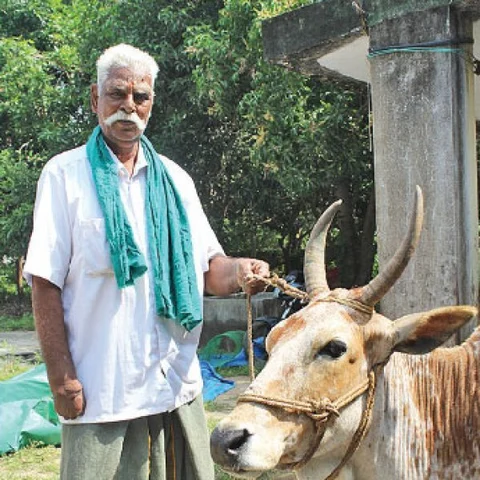 முன்பு விவசாயி; இப்போது ஆசான்... இயற்கை விவசாயிகளுக்கு வழிகாட்டும் சுப்பு!