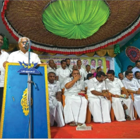 மினி மீல்ஸ்