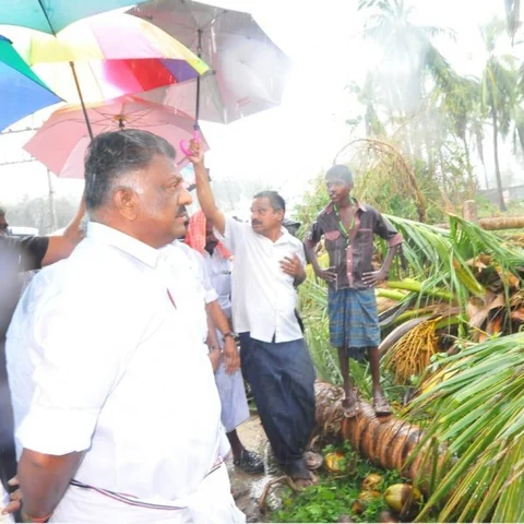 `ஸ்டாலின் வாய்ஜாலம் மட்டுமே காட்டுகிறார்!' - ஓ.பன்னீர்செல்வம்