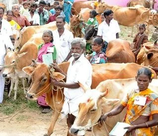 இது ஜெயலலிதாவுக்கு தெரியுமா?