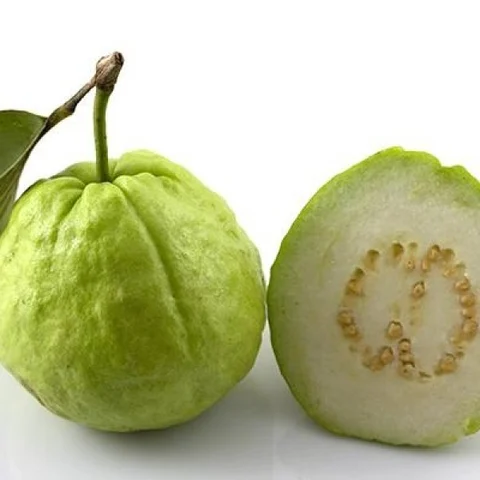 Multiple Benefits of Guava-Prevents Cancer, Improves Eye vision, Increases Immunity