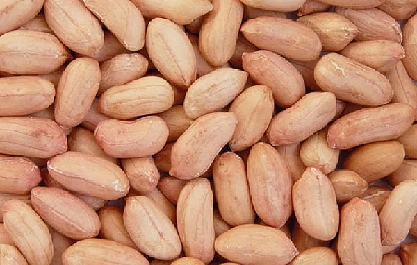 வேர்க்கடலை… ஏழைகளின் அசைவ உணவு!