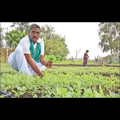 பத்து ஏக்கர் நிலத்தில் ஒரு பசுமைப் பண்ணை!
