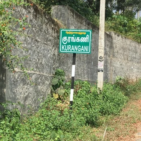 ஒரு வருடத்தைக் கடந்த குரங்கணி தீ விபத்து... என்ன சொல்கிறார்கள் மக்கள்?