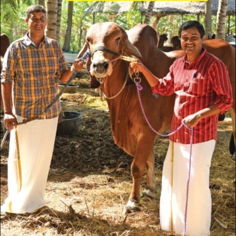 50,000 litres of Milk Annually… Rs 50 Lakhs Income... Graduates’ Marvellous Milk Farm!