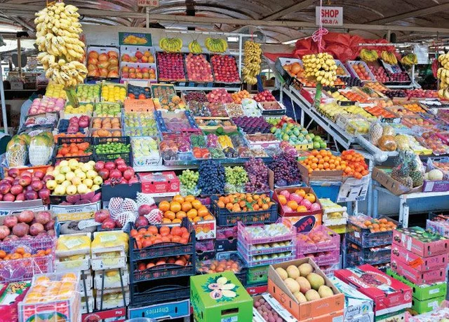 Agri Export for abundant income... Successful Strategies! Part 5