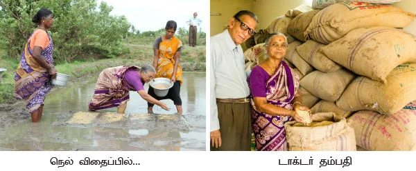 5 ஏக்கரில் 150 மூட்டை... ஒற்றை நாற்று தரும் ஒப்பற்ற வருமானம்!