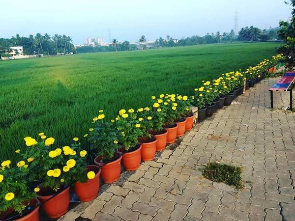 45 ஏக்கர் நிச்சயம்... 200 ஏக்கர் லட்சியம்... நஞ்சு நிலங்களை மீட்கும் 'அடையாளம்' குழு!