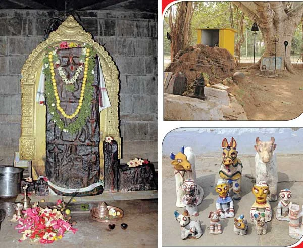 கால்நடைகளின் காவல்தெய்வம்!