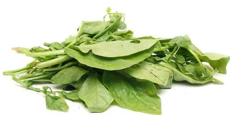 தினம் ஒரு கீரை! ஒரு கம்ப்ளீட் கைடு