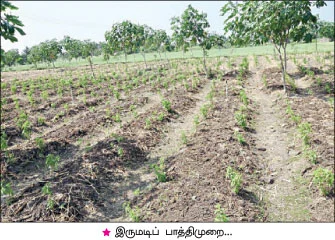 ஏக்கருக்கு18 ஆயிரம் ரூபாய் மிச்சம்... செலவு குறைகிறது... மகசூல் கூடுகிறது....