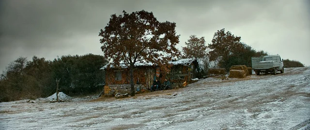 நீர் வற்றிய நிலத்தின் நெடுமரம் - சைலானின் The Wild Pear Tree ஒரு பார்வை #iffi2018