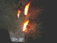 காவு வாங்க காத்திருக்கும் மரங்களை அகற்ற வேண்டும்