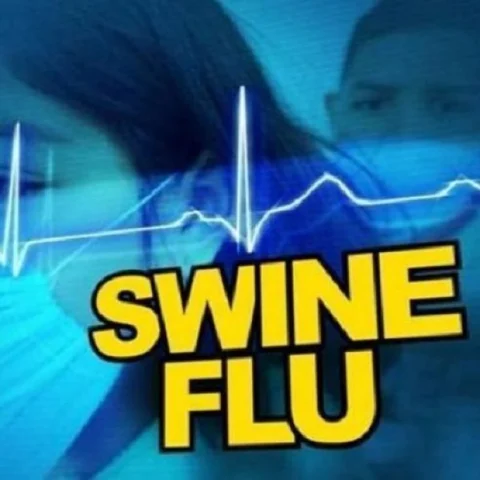 நெல்லையில் பரவும் பன்றிக்காய்ச்சல்! - பள்ளி நிர்வாகி உயிரிழந்த பரிதாபம்