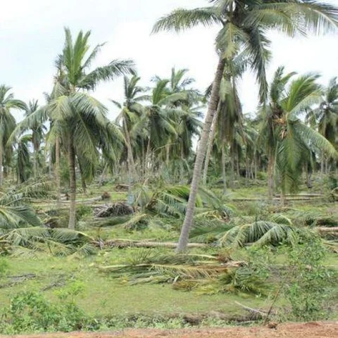 டெல்டா விவசாயிகளே... நம்பிக்கையோடு இருப்போம்... மீள்வோம்!