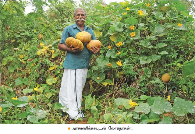 பொங்கல் சிறப்பிதழ்: 5 நிமிட வாசிப்பில் பசுமை விகடனின் 10 கட்டுரைகள்!