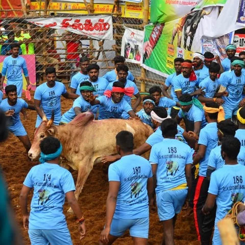 வெற்றி வீரருக்கு ஆம்னி கார்... வீறுகொண்டு நடக்கும் பாலமேடு ஜல்லிக்கட்டு