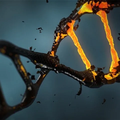 DNA டெஸ்ட் பாதுகாப்பானதா...நம் DNA தகவல்கள் வெளியே கசிந்தால் என்ன நடக்கும்?