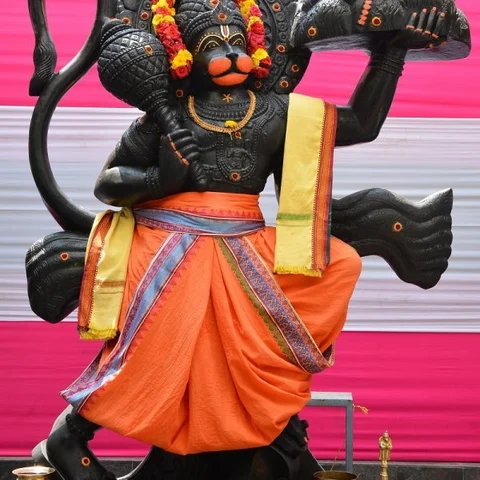 16 தெய்வத் திருமணங்கள்... ஆரோக்கியம் அருளும் தன்வந்திரி பீட திருவிழா!