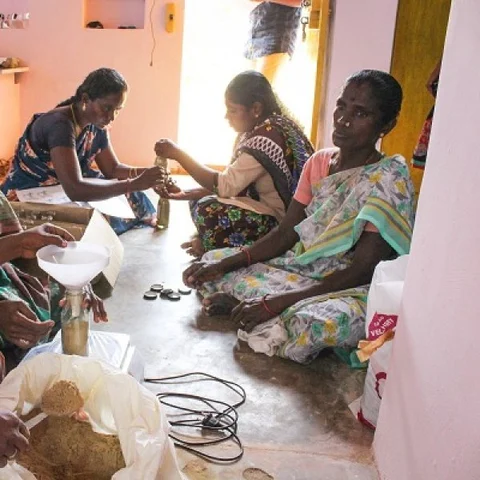 மீண்டு வரும் புதுக்கோட்டை மக்கள்! - கஜா புயலுக்குப் பிந்தைய கதை