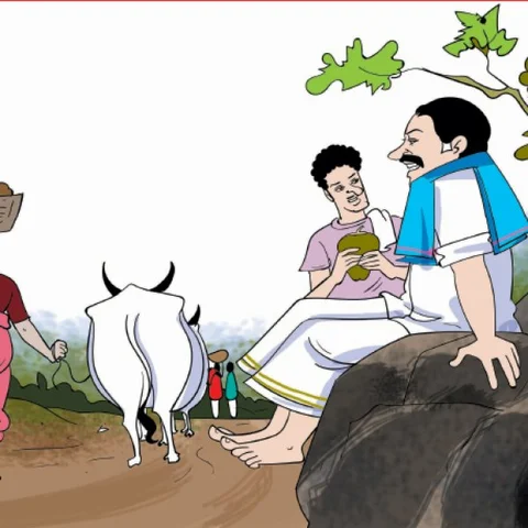 மரத்தடி மாநாடு: ஏறுமுகத்தில் பருத்தி விலை... மகிழ்ச்சியில் விவசாயிகள்!