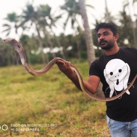 ``பார்வையிழந்த நல்ல பாம்புக்குப் பார்வை வரச் செய்த கோவை இளைஞர்!” - ஒரு நெகிழ்ச்சிக் கதை