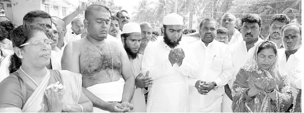 எலி கிலி!