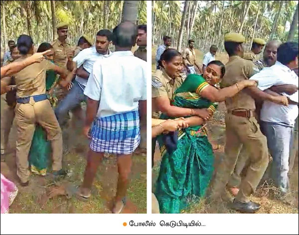 நம் வழி... நம்மாழ்வார் வழி... - 5 நிமிட வாசிப்பில் பசுமை விகடனின் 10 அம்சங்கள்