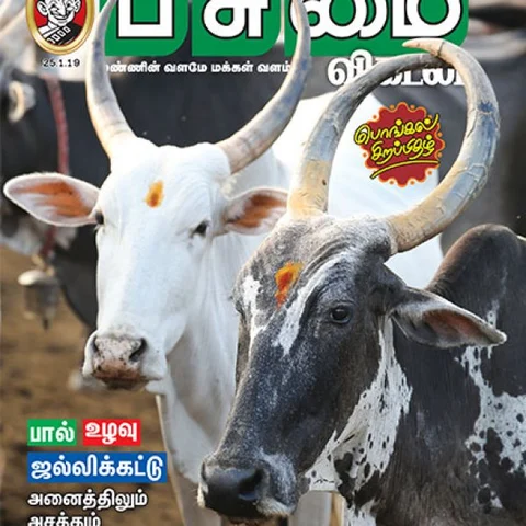 பொங்கல் சிறப்பிதழ்: 5 நிமிட வாசிப்பில் பசுமை விகடனின் 10 கட்டுரைகள்!