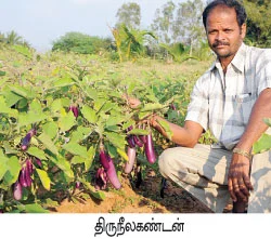 உன்னத வருமானத்துக்கு ‘உஜாலா’...