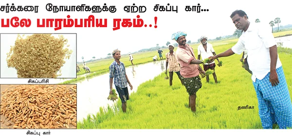 சர்க்கரை நோயாளிகளுக்கு ஏற்ற சிகப்பு கார்...