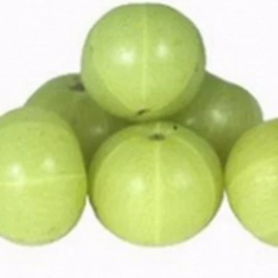 ரத்தசோகைக்கு விடைகொடுப்போம்! நலம் நல்லது–15 #DailyHealthDose