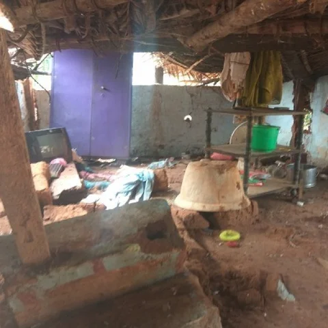 ``பணம் வேணாலும் கொடுக்குறோம்; மரத்தை எடுத்துக்குங்க!" - தென்னைகளால் டெல்டாவுக்கு நேரும் சோகம்