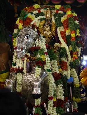 பச்சை பட்டு உடுத்தி வைகையாற்றில் இறங்கினார் கள்ளழகர்