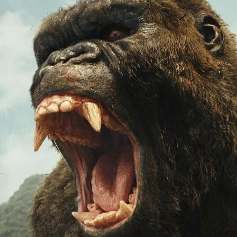 எல்லா ஹீரோயிஸமும் காட்டும் ‘காங்’ தப்பிக்கிறதா? Kong: Skull Island!- படம் எப்படி?