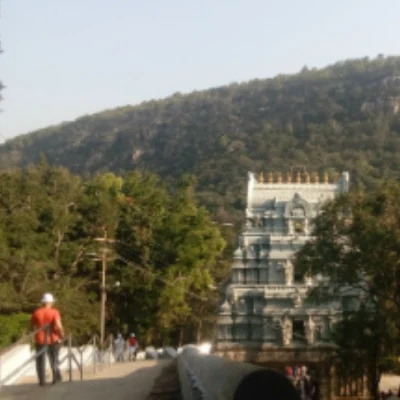 திருப்பதியிலிருந்து திருமலைக்கு நடந்து செல்பவர்களின் கவனத்துக்கு..!