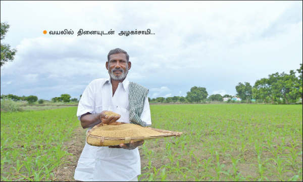 மானாவாரியில் மகத்தான லாபம் பார்க்கலாம் வாங்க…!
