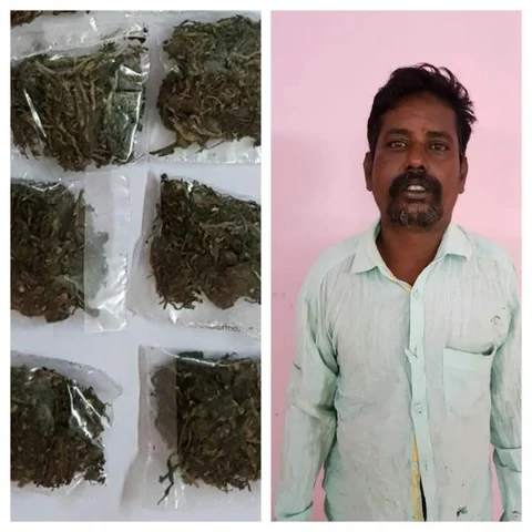 `18 ஆண்டுகளாகக் கஞ்சா விற்பனை' - ராமநாதபுரத்தில் 23வது தடவையாக கைது செய்யப்பட்ட ரவுடி!