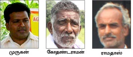மாற்றுப் பயிராக மக்காச்சோளம்!