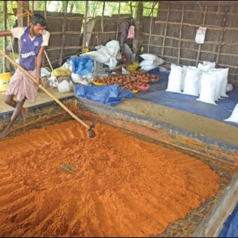 ₹10 lakhs from 13 acres in 10 months...Appreciable income through country jaggery!