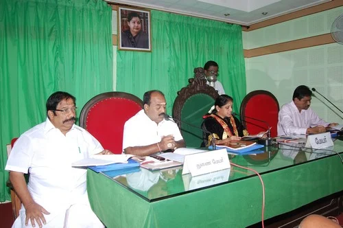 எலி வேட்டைக்கு 2 லட்சம்... நாய் கருத்தடைக்கு 27 லட்சம் - திருப்பூர் மாநகராட்சி பட்ஜெட் ருசீகரம்