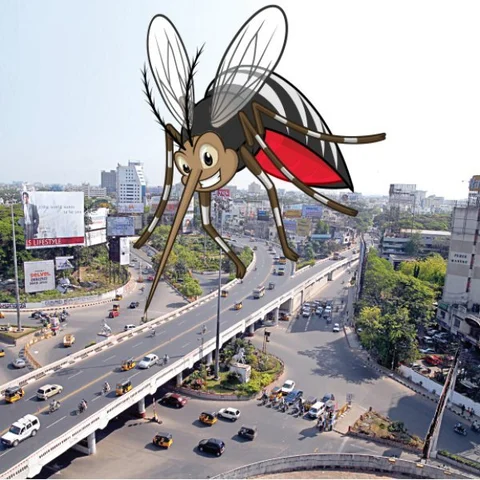 டெங்கு பாதிப்பில் தமிழ்நாட்டுக்கு முதலிடம்! சுகாதாரத்துறை சொல்லும் காரணம் என்ன? #Dengue