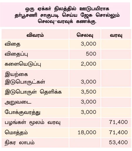 இயற்கை தர்பூசணி...