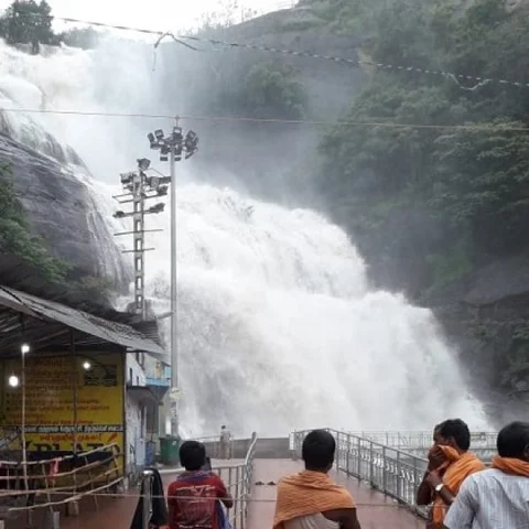 ஆர்ப்பரிக்கும் வெள்ளம்: குற்றால அருவியில் குளிக்கத் தடை!