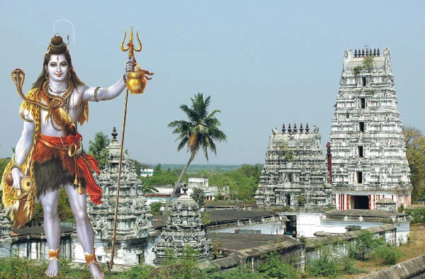 பூமி யோகம் கைகூடும் !