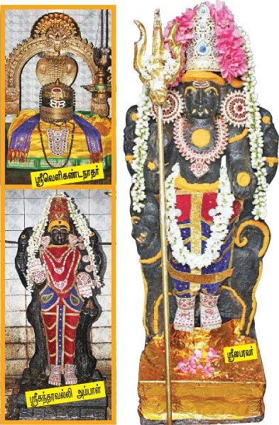 ஸ்ரீபைரவர் தரிசனம்! - திருச்சி