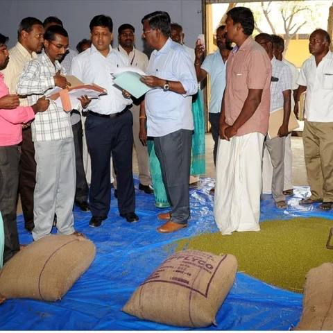விருதுநகரில் அரசு பாசிப்பயறு கொள்முதல் நிலையம் தொடக்கம்!