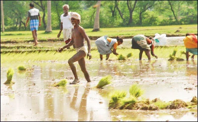 விவசாயிகளுக்குப் பயன் தருமா? நிதிநிலை அறிக்கை!