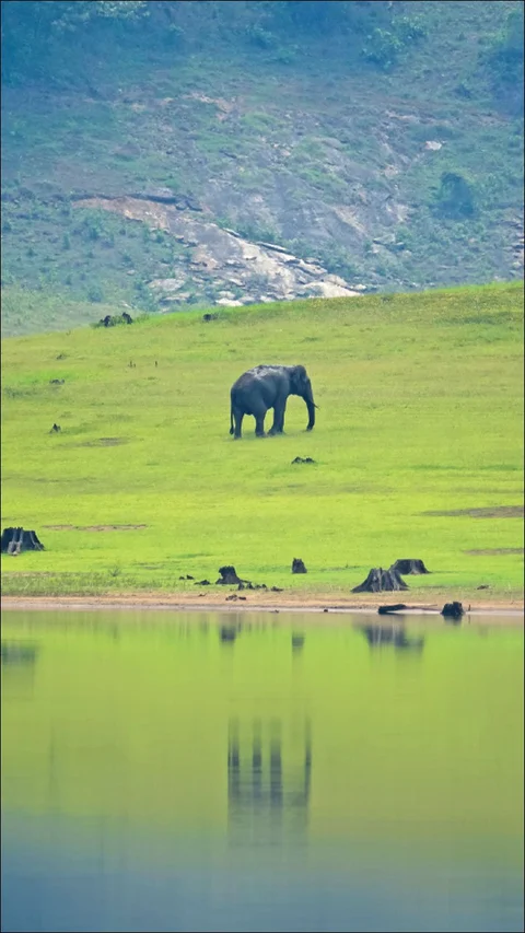தண்ணீர் - அறிவியல்+அரசியல்+அழிவியல் - 8 - உடனடியாக வேண்டும் ஆனைமலையாறு- நல்லாறு திட்டம்!