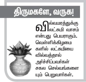 ஸ்ரீசாயி பிரசாதம் - 21